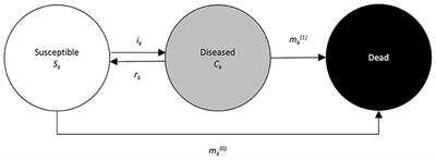 Illness-Death Model as a Framework for Chronic Disease Burden Projection: Application to Mental Health Epidemiology